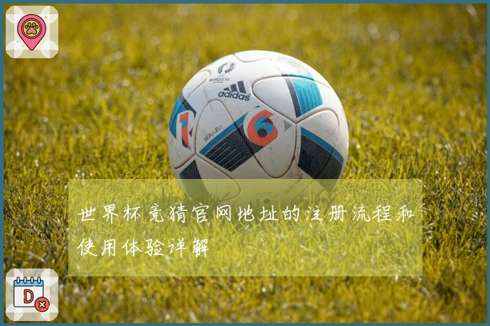 世界杯竞猜官网地址的注册流程和使用体验详解