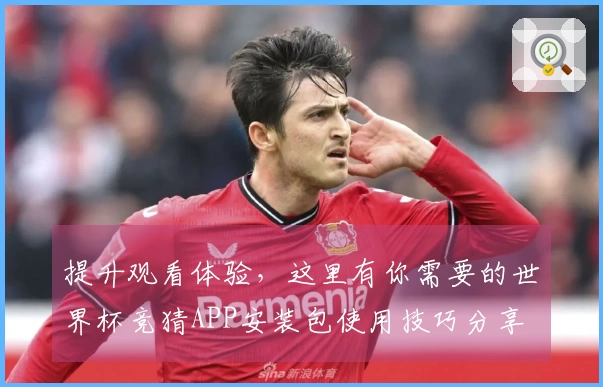 提升观看体验，这里有你需要的世界杯竞猜APP安装包使用技巧分享